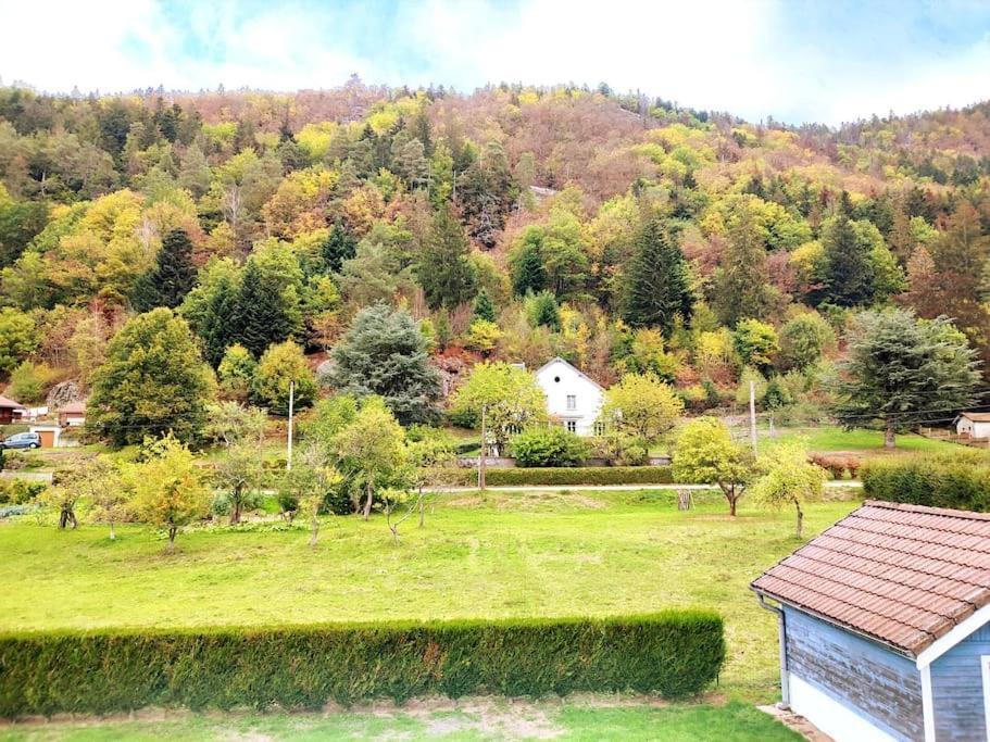 Le Vivaldi, Au Coeur Du Massif Vosgien Avec Terrain De Petanque Villa Rochesson Екстериор снимка
